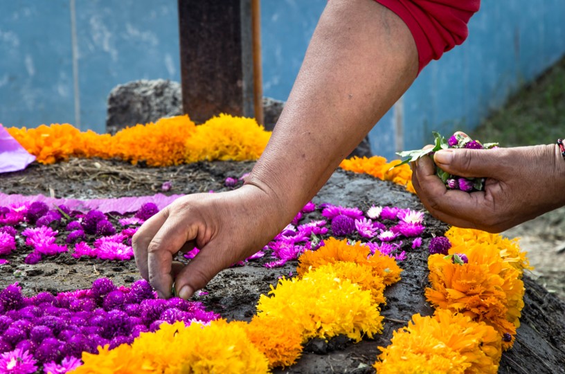 Woman picking yellow and purple flowers from soil